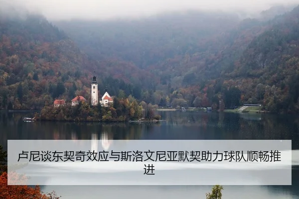 卢尼谈东契奇效应与斯洛文尼亚默契助力球队顺畅推进